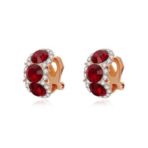 A01-03/Red gemstone stud earrings